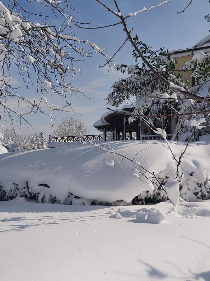 Bizim Ev Vila Sapanca Exterior foto